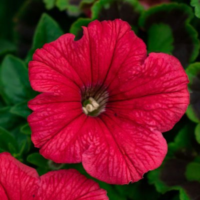 世間が気になる母のニュースチェック