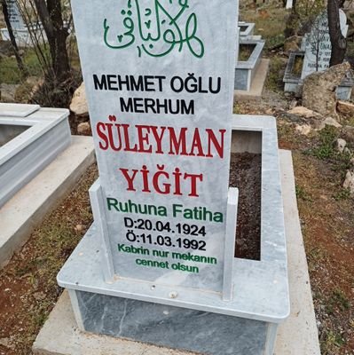 Süleyman yiğit