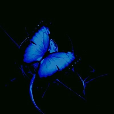 Barb ‧˙⋆˚ 🍂