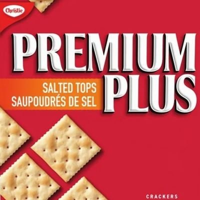 🇨🇦 ODSP Starvation Program