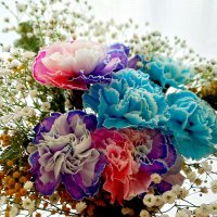 りんご(ringo💐)