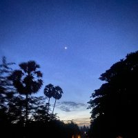 MuchaTweetAboutNothing