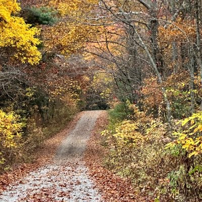 Amelia Dillenschneid