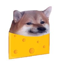 🇨🇭 naFONDUE 🧀