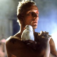 miciomannaro©⭐️⭐️