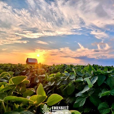 Cornbelt Marketing, Inc. 🇺🇸