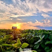 Cornbelt Marketing, Inc. 🇺🇸