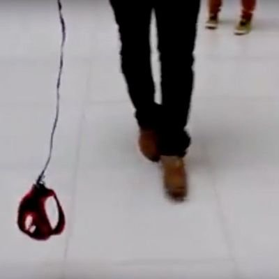 Volver...🍀🌎✌️🇪🇭