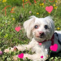 CRISTL_VIÑAS 🇦🇷🇦🇷 💙