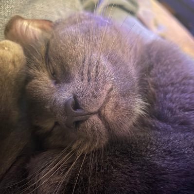 commentary account j lister