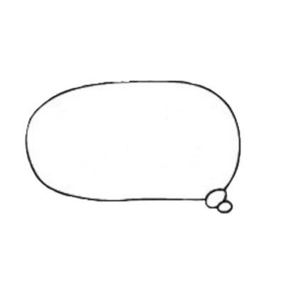 fried rice enthusiast