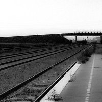 🥝🐝 Fuentedelcierzo 🐝🥝