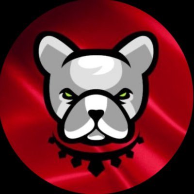 Pitbull Token Türkiye 🇹🇷