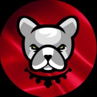 Pitbull Token Türkiye 🇹🇷