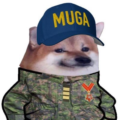 Hakki K 🏴‍☠️🇫🇮🇪🇺🇺🇦🦝