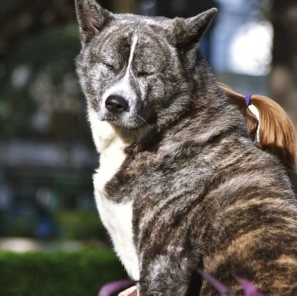 nbeatriz.E ✨️💛🍀🐞🇦🇷