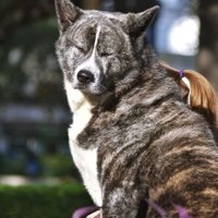 nbeatriz.E ✨️💛🍀🐞🇦🇷