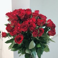 天城@カワセミの親鳥