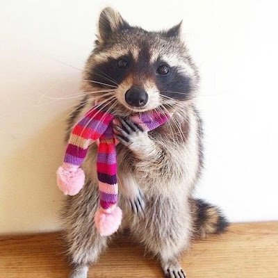 H3LL N0!⭐️⭐️⭐️⭐️⭐️