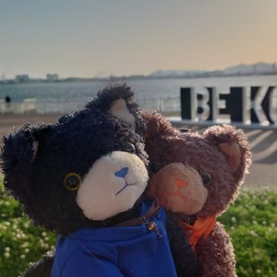 💙🧡黒猫🐱🐨