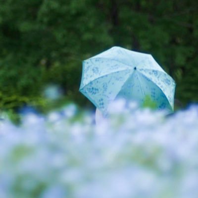 大宮さざえsun☪︎優しい言葉をありがとう☪︎