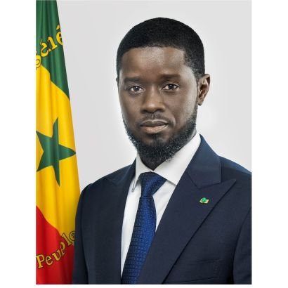 Jeune Patriote ✊🏿🌍🇸🇳🇸🇩🇨🇩🇵🇸