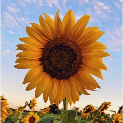 Licenciada - Anticomunista - ❤️ 🇨🇱