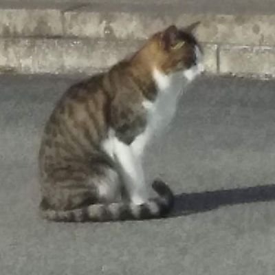 急洲【ｷｭｰｽ】