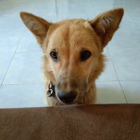 Till the Moon and Back