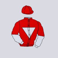 Rogues Gallery Racing