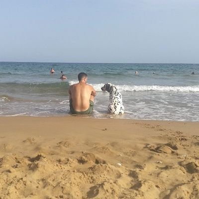 David Ortega Domínguez