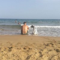 David Ortega Domínguez