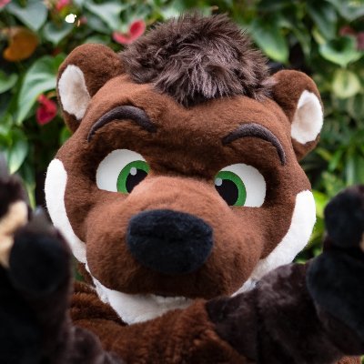 Blackymoon 🔜 NFC2026