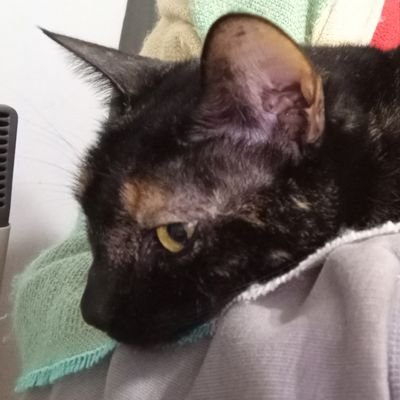 jaqui krai👀 greta es la dueña de esta cta 😳