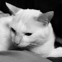 You AKiTsuKi@就活中