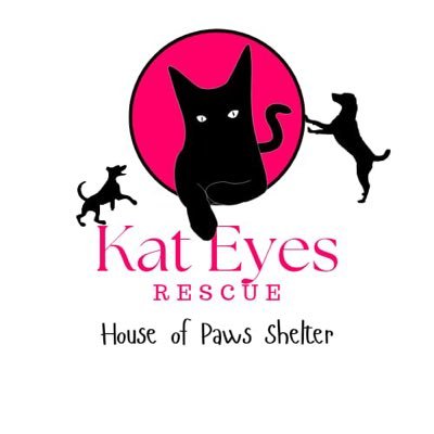 House of Paws Shelter katEyes Rescue
