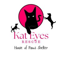 House of Paws Shelter katEyes Rescue