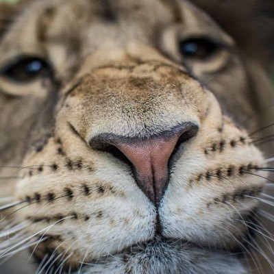 Tess Hackett💚🤍💜