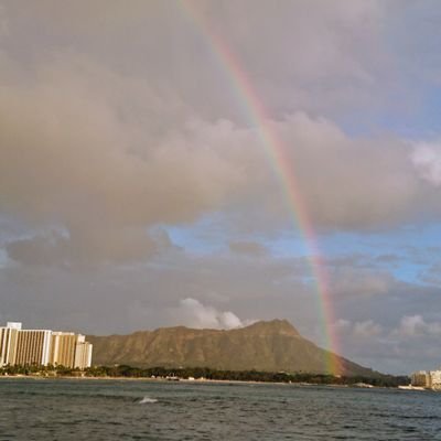 ぱいんごーごー