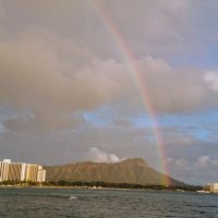 ぱいんごーごー