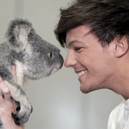 AussieKiwi_28 ×͜× Louis is my because ㉘ 🍋🌻☀️💛