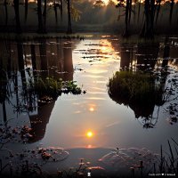 Mariano 🇦🇷⭐⭐⭐