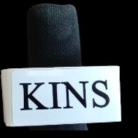 KINS (News Agency)