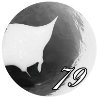 mantaray79