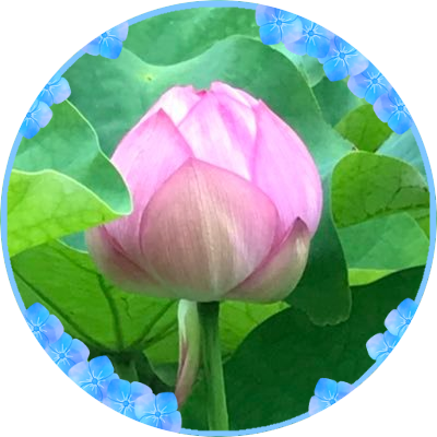 蓮華🦋天官最好的