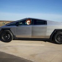 テスラおばさん