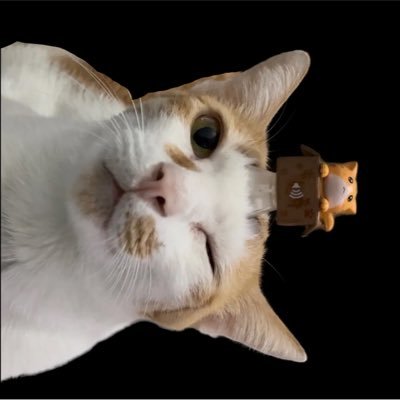 𝙉𝙞𝙞𝙩𝙪𝙯 ➷˚ ༘ นิตุ๊สสสสนอนอยู่