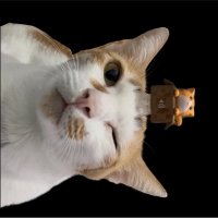 𝙉𝙞𝙞𝙩𝙪𝙯 ➷˚ ༘ นิตุ๊สสสสนอนอยู่