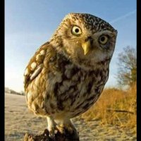 Carlos A Rodriguez⭐⭐⭐🎗️