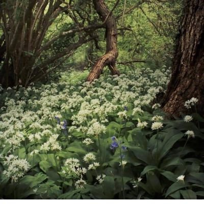 Extremist, Carol Stewart.